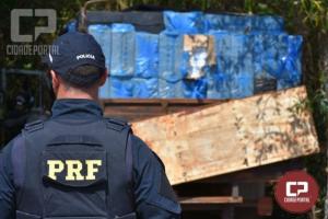 PRF apreende 63 toneladas de drogas no Paran em 2019 e bate recorde histrico
