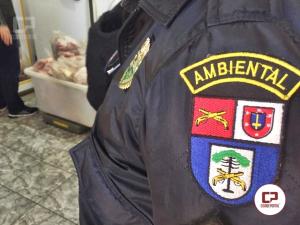 Após operação de fiscalização, 5 toneladas de carne vencida é apreendida em Moreira Sales