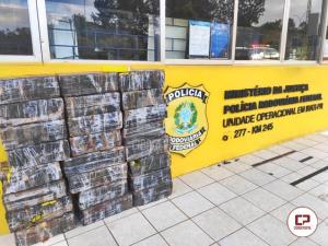 PRF apreende mais de 800 quilos de maconha no Paraná
