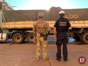 Polcia Federal incinera 23 toneladas de maconha em Campo Mouro