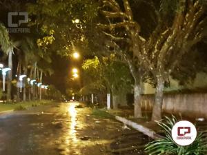 Chuva e ventos da madrugada deixam ruas e avenidas de Goioer com galhos e folhas espalhadas