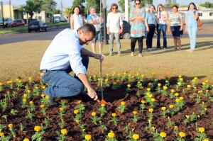 Goioer comemora dia da rvore com plantio de Ips Amarelos na Rotatria da Avenida Santos Dumont