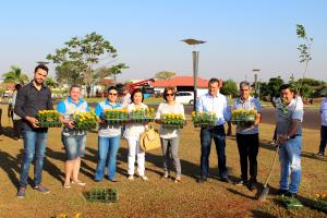 Goioer comemora dia da rvore com plantio de Ips Amarelos na Rotatria da Avenida Santos Dumont