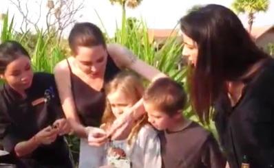 Angelina Jolie cozinha aranhas e escorpies para os filhos em visita ao Camboja