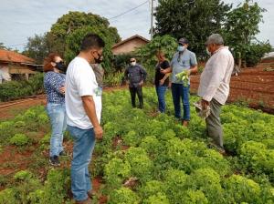 Projeto vai fomentar agricultura familiar em Goioer