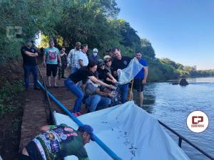 Ao Ambiental promove a soltura de 50.000 peixes na manh de sbado, 25, no Rio Piquiri em Quarto Centenrio